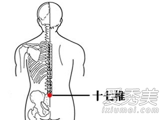 大总督平台下载