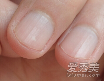 pc蛋蛋苹果版下载